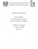 Las razones para ser científico y la pasión que impulsa a las personas en este campo