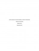 Control semana 6: Economía abierta y comercio internacional