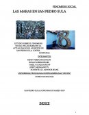 ESTUDIO SOBRE EL FENOMENO SOCIAL DE LAS MARAS