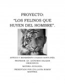 PROYECTO: “LOS FELINOS QUE HUYEN DEL HOMBRE”