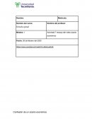 Ensayo sicario económico