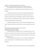 La organizacion y gestion de los centros escolares