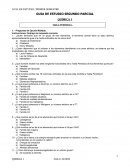 Guia de estudio química