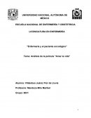 ANALISIS AMAR LA VIDA