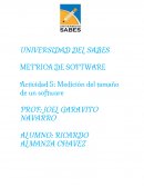 METRICA DE SOFTWARE