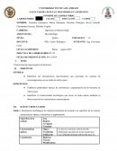 Caracterización macroscópica de bacterias