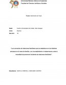 Los convenios de relaciones familiares que se establecen en los distintos procesos en el ramo de familia