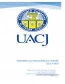 DESARROLLO PSICOLÓGICO A TRAVÉS DE LA VIDA: Ensayo sobre el libro de Robert S. Feldman