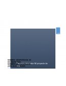 PROYECTO INTEGRADOR Proyecto de Vida