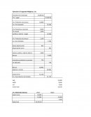 Ejercicio 6-3 Juguetes Mágicos, S.A.