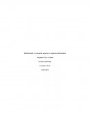 Identificando y evaluando aspectos e impactos ambientales