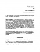 ESTRUCTURA DEMANDA MERCANTIL