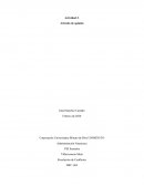Artículo de opinión. El conflicto, lo inevitable de la vida