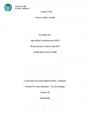 Ensayo Conflicto Armado