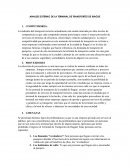 ANALISIS EXTERNO TERMINAL DE TRANSPORTE IBAGUE