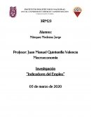 Macroeconomía Investigación “Indicadores del Empleo”