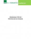 PROGRAMA TIPO DE PREVENCION DE RIESGOS