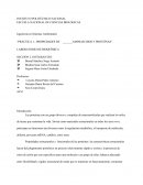 Práctica 1.- Propiedades de aminoácidos y proteínas