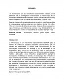 Microscopio, manejo del microscopio