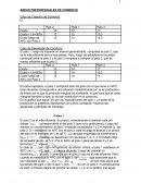 AREAS PREFERENCIALES DE COMERCIO EN EL 2008