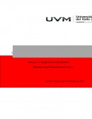 Ensayo Diplomacia Digital