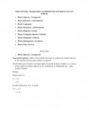 SOLUCION DEL TRABAJO DE LAS DIFERENTES MATRICES CON SUS PARTES