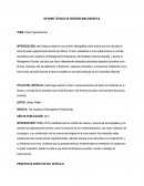 Informe técnico de revisión bibliográfica - poder organizacionаl