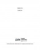 ESTRATEGIAS DE APRENDIZAJE Y HABILIDADES DIGITALES