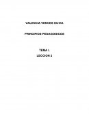 EDUCACION BASICA , PERSPECTIVA