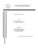 Avtidad integradora. La Diabetes Gestacional