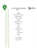 Diseño de bloques grecolatinos