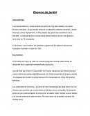 Enanos de jardin Caso