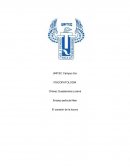 Ensayo película Nise El corazón de la locura