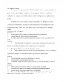 La conquista española