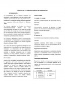 Conceptos básicos de HOMEOSTASIS