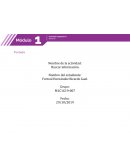 Actividad integradora. Las TIC