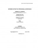 Practica Profesional Agropecuaria Montelibano S.A. de C.V