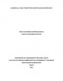 DESARROLLO CASO FISHER PRICE INVESTIGACION DE MERCADOS