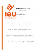 TEORÍA Y SISTEMAS ORGANIZACIONALES