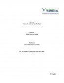 Habilidades Verbales