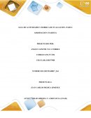 GUIA DE ACTIVIDADES Y RUBRICA DE EVALUACION -PASO:2