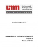 Tesis sistema penitenciario