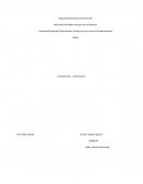 Contratos contractuales