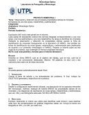 Observación y obtención las principales propiedades ópticas de minerales formadores de una roca ígnea, metamórfica y sedimentaria