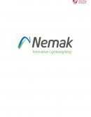 Caso NEMAK S.A