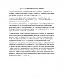 Problema de la contaminación ambiental