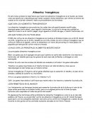Alimentos transgénicos ¿En que paises los cultivan mas?