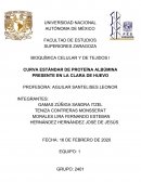 CURVA ESTÁNDAR DE PROTEÍNA ALBÚMINA PRESENTE EN LA CLARA DE HUEVO