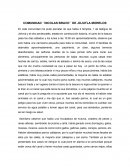 COMUNIDAD ´´NICOLAS BRAVO´´ DE JOJUTLA MORELOS