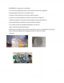 EXPERIMENTO III. Evaporación y cristalización